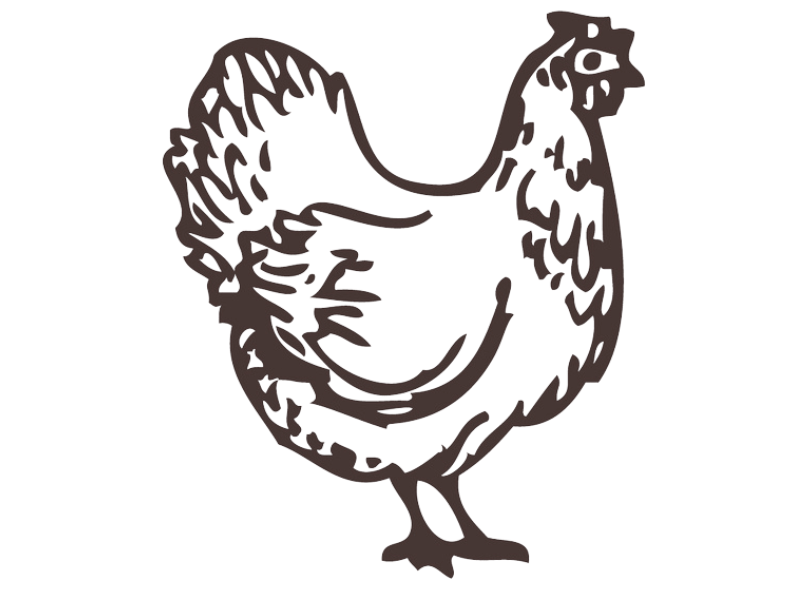 Home - pastoralpastures.com